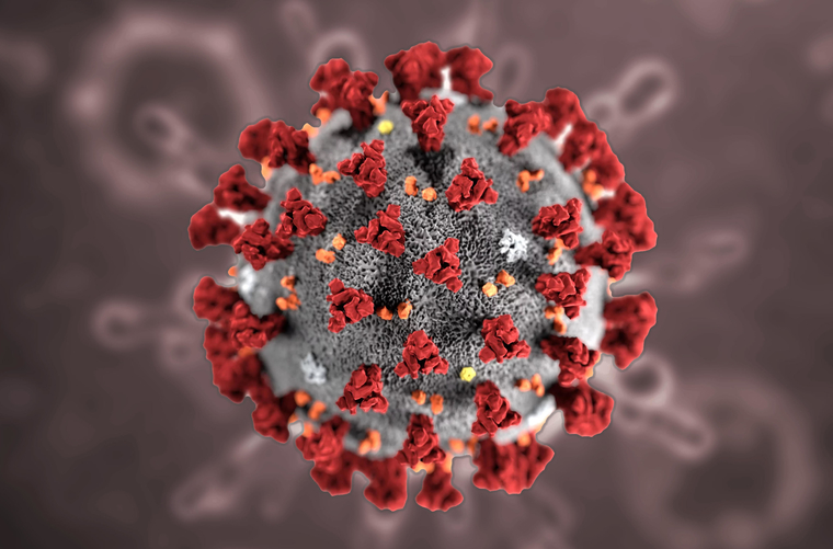 Coronavirus, le indicazioni per la comunità Sapienza