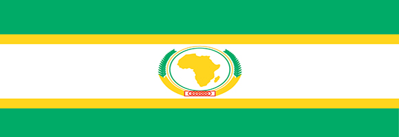 Sapienza per l'Africa. Ruolo della diaspora per lo sviluppo dell'Africa 