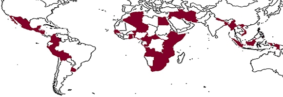 CONFERENZA DI ATENEO "SAPIENZA IN INTERNATIONAL DEVELOPMENT