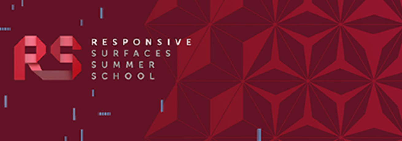 Responsive Surfaces Corso Alta Formaz int