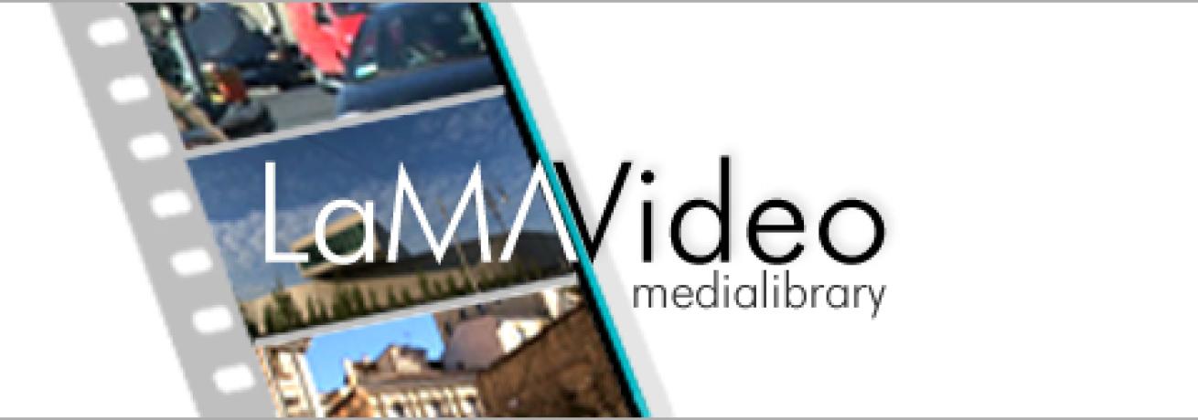 LaMAVideo