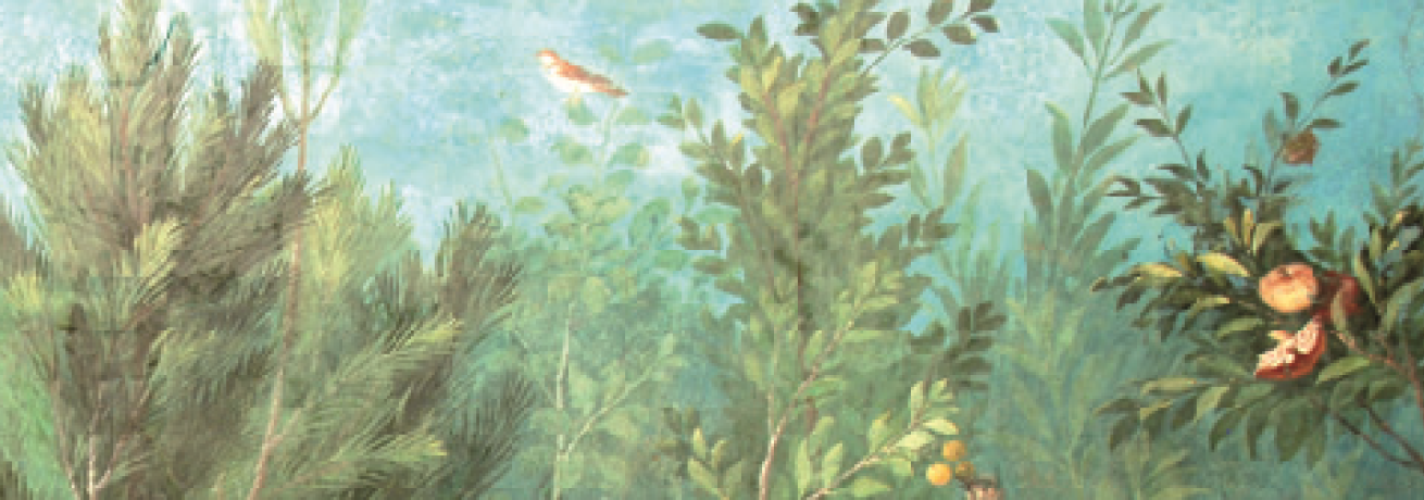GIARDINI DI SAGGEZZA IN OCCIDENTE
