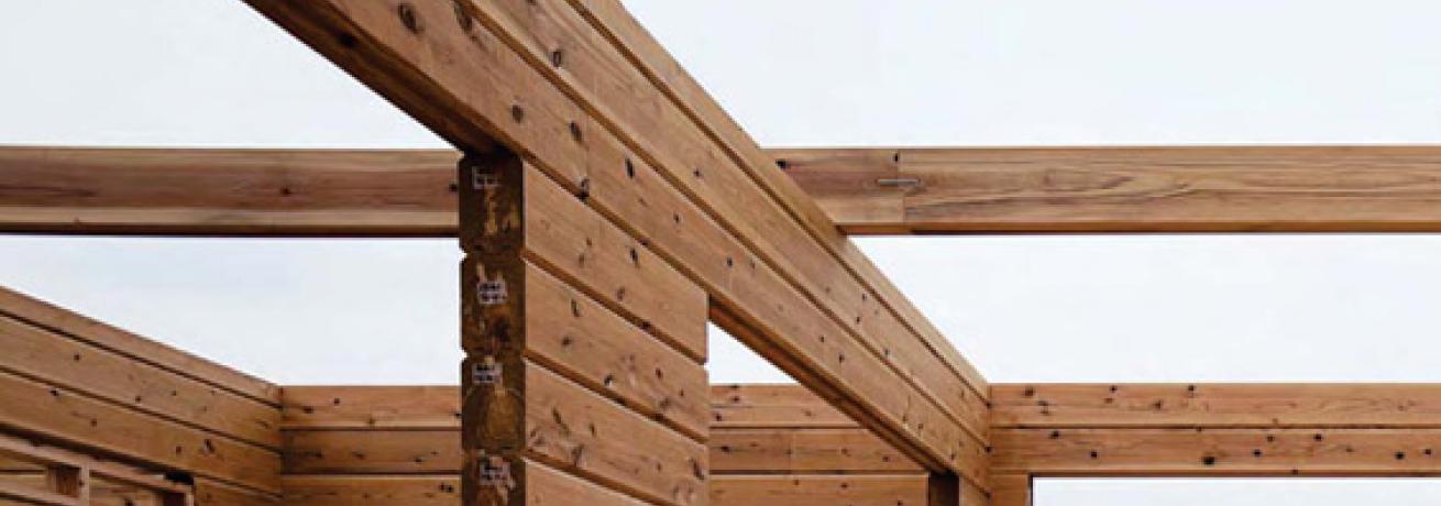 Emergency Wooden Structures