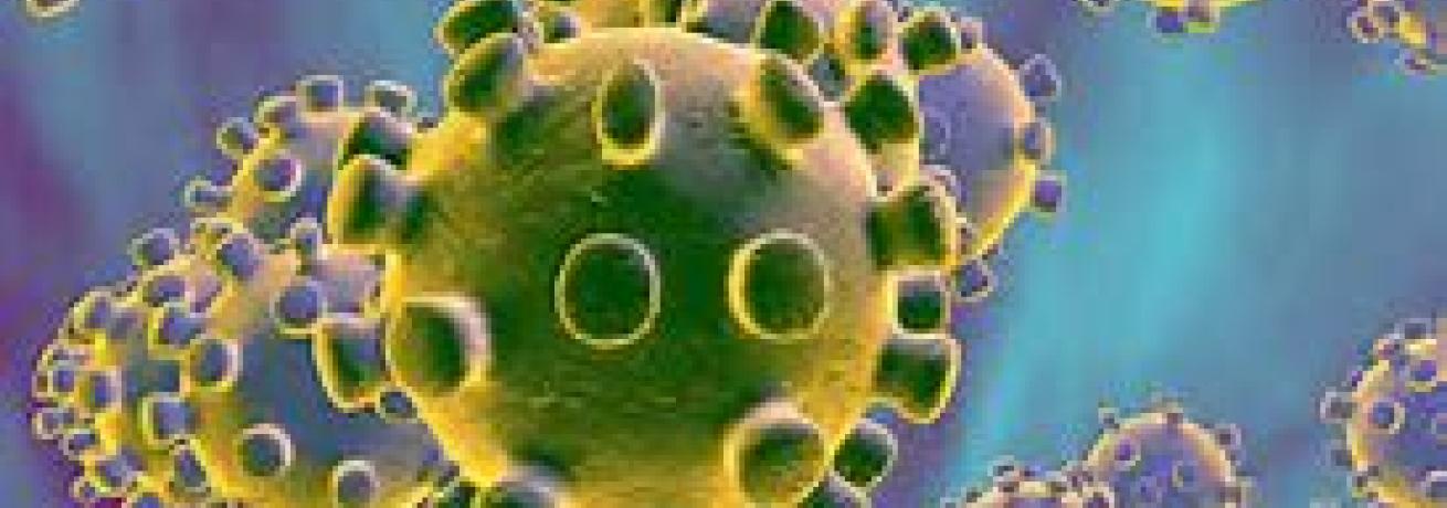 Chiusura FabLab Architettura Sapienza fino al 15 marzo 2020