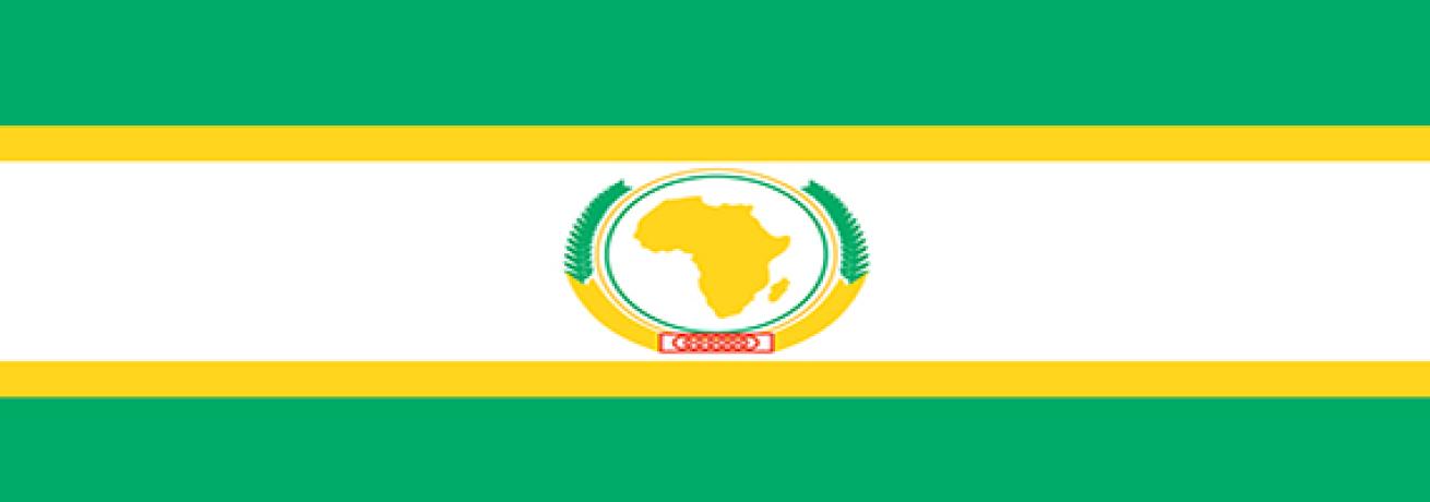 Sapienza per l'Africa. Ruolo della diaspora per lo sviluppo dell'Africa 