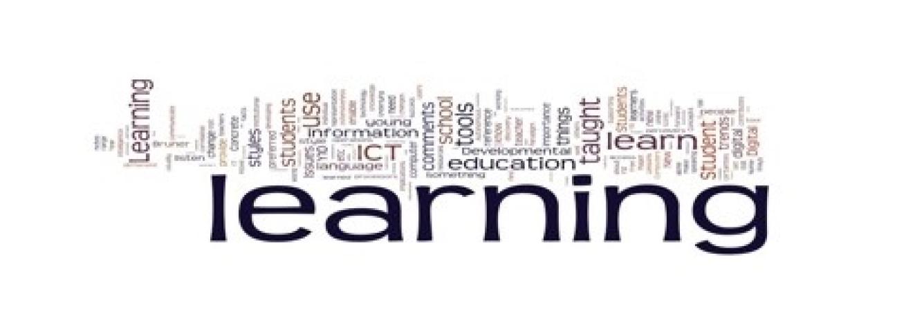 e-learning in Sapienza