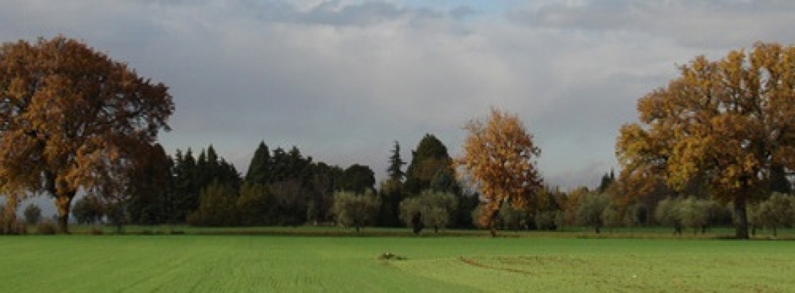 dintorni di Assisi