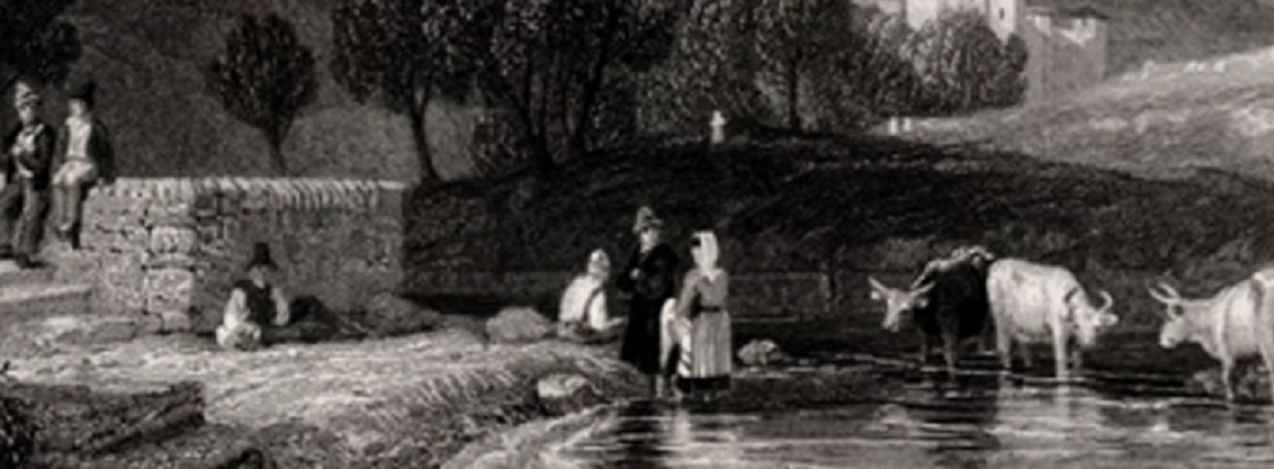 Vita fluviale sul fiume Aniene