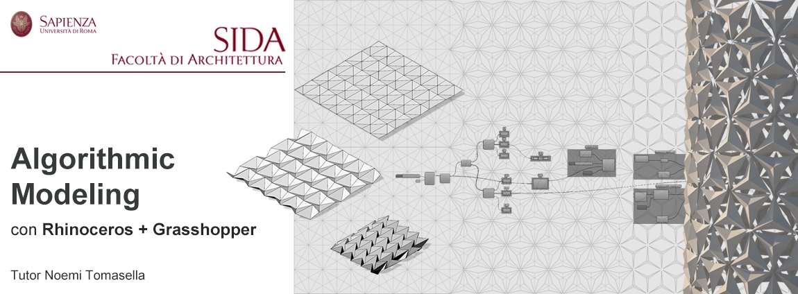 SIDA_Tomasella Banner.jpg