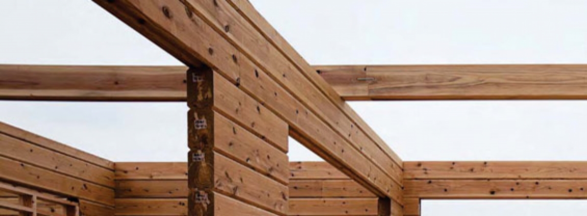 copertina web Wooden Structures.jpg