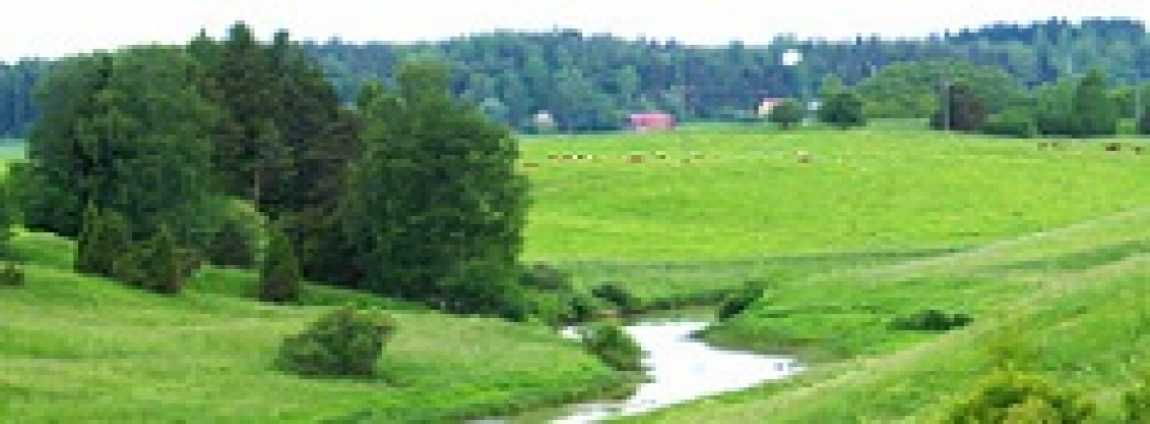 well-being landscape