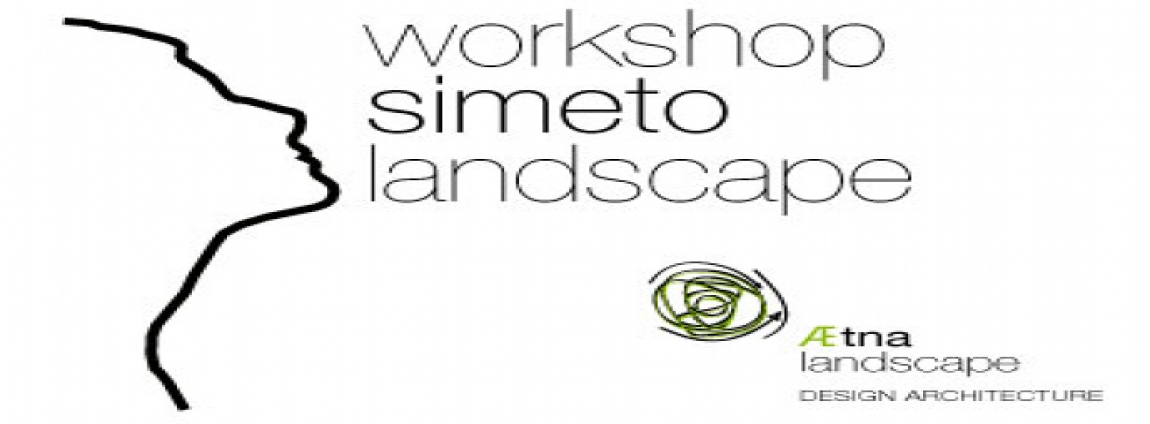 Aetna landscape 2012