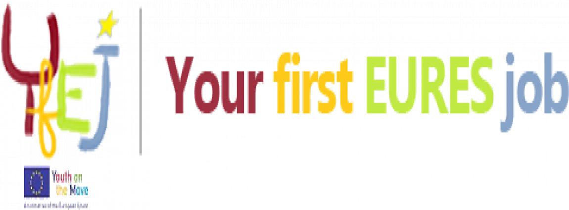 your first job