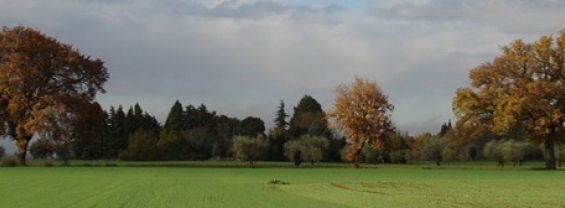 dintorni di Assisi